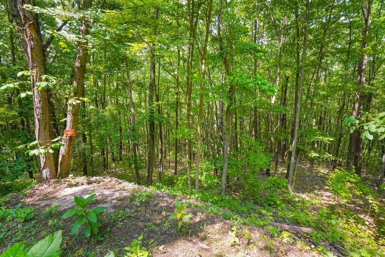 Explore 9 acres of private and peaceful wooded acreage without leaving the property.