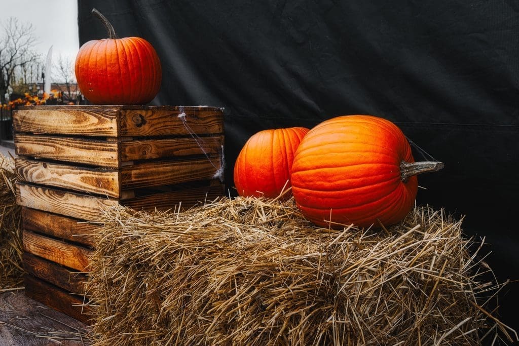 A photo of pumpkins and hay