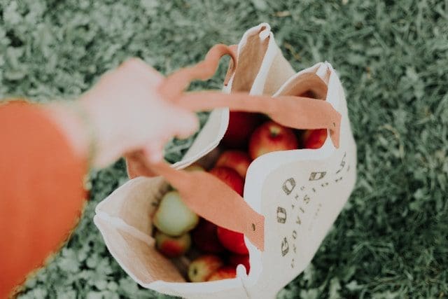 Photo of a bag of groceries