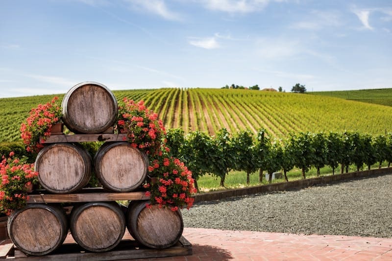 A photo of a winery with wine barrels in front.